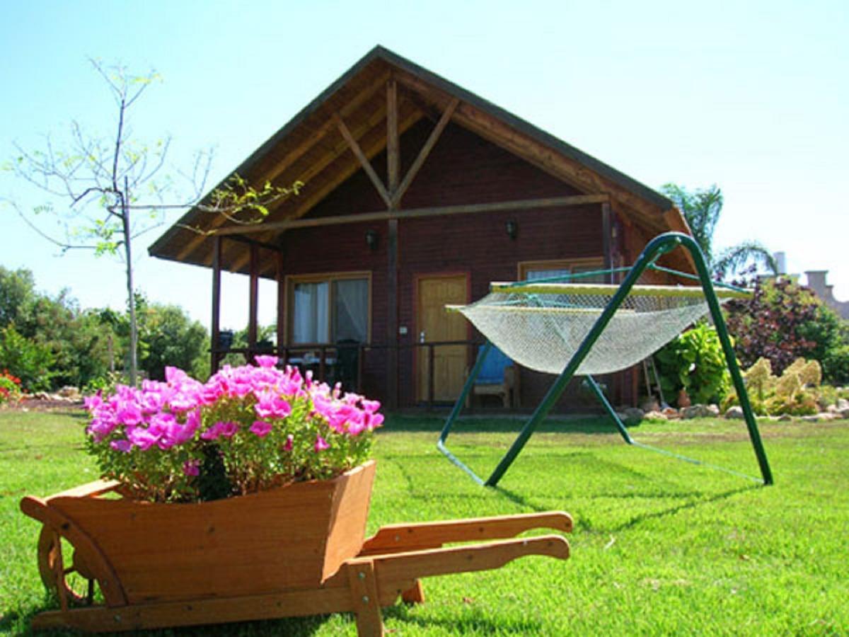 Вилла Tal Nof Cabins Manot Номер фото