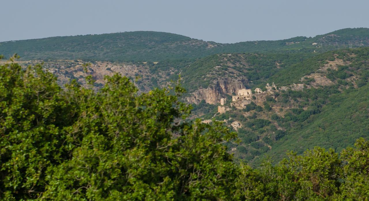 Вилла Tal Nof Cabins Manot Экстерьер фото