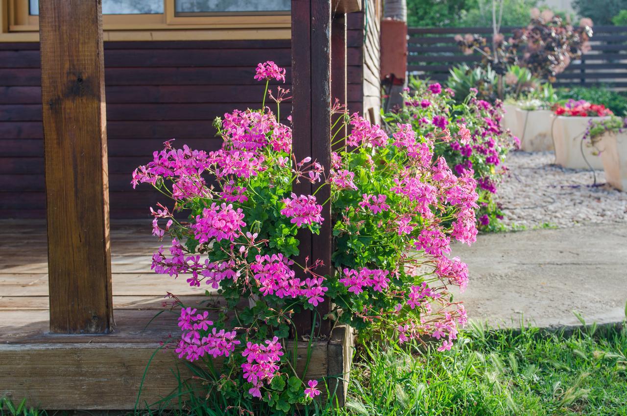 Вилла Tal Nof Cabins Manot Экстерьер фото